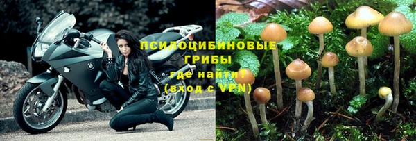 круглые Алексин