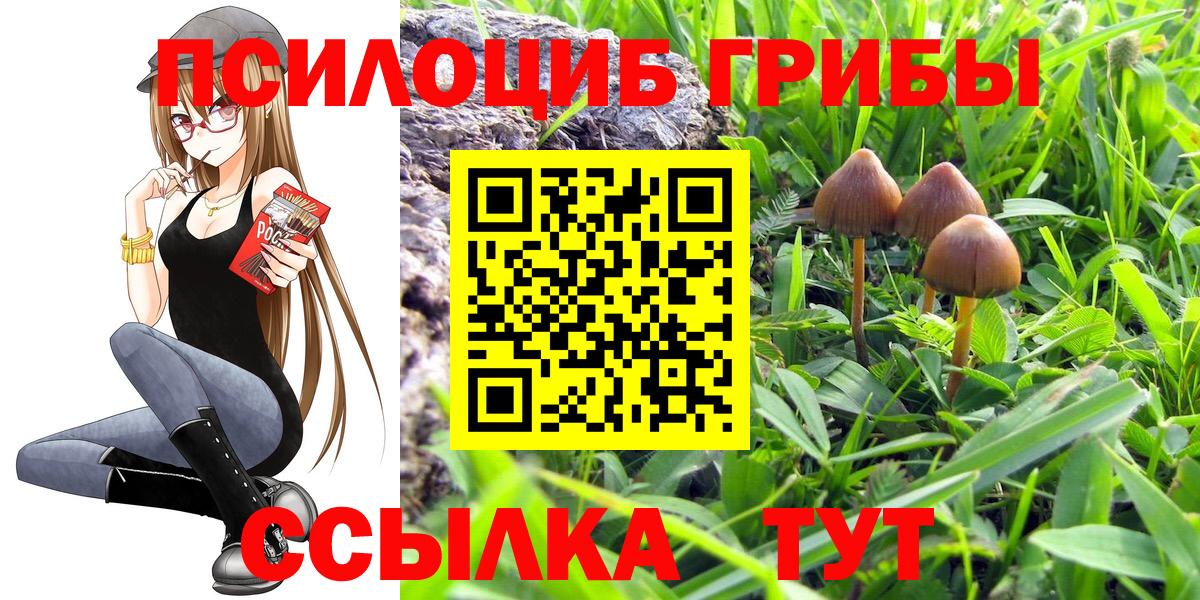 Галлюциногенные грибы мухоморы Киржач