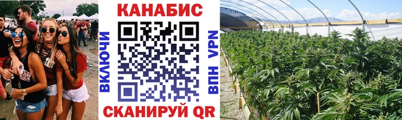 Шишки марихуана White Widow мориарти наркотические препараты Киржач наркота